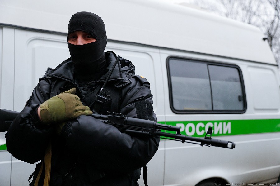 Калининградские приставы арестовали 3,6 млн пачек сигарет