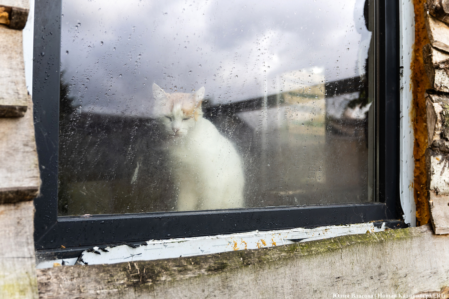 Погода в Калининградской области 28 октября