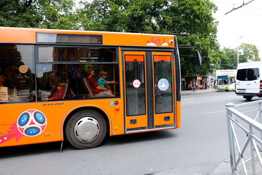Глава Калининграда: кондиционеры в автобусах едва справляются с жарой, надо терпеть