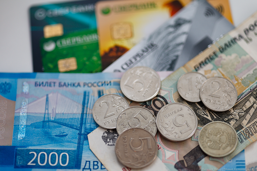 Елена Дятлова рассказала, куда будет потрачен кредит в 900 млн рублей, который берет мэрия