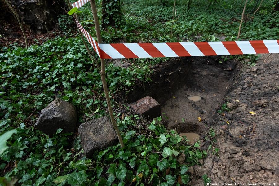Калининградец нашёл в поле золотую монету XVI века (фото)