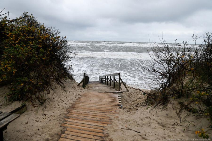 Из областного бюджета хотят выделить еще 147 млн на защиту берега Зеленоградска