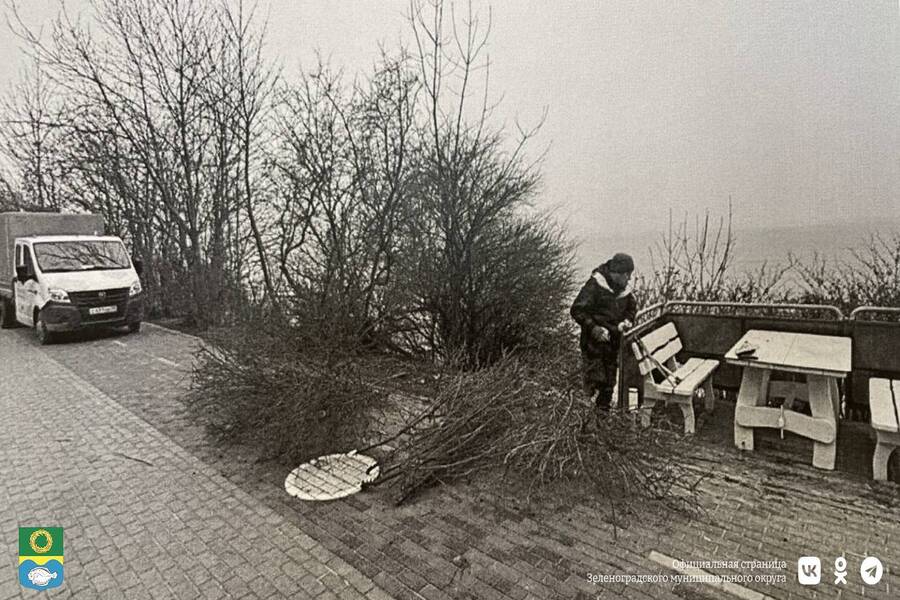 На променаде в Зеленоградске пресекли незаконную установку торгового объекта (фото)