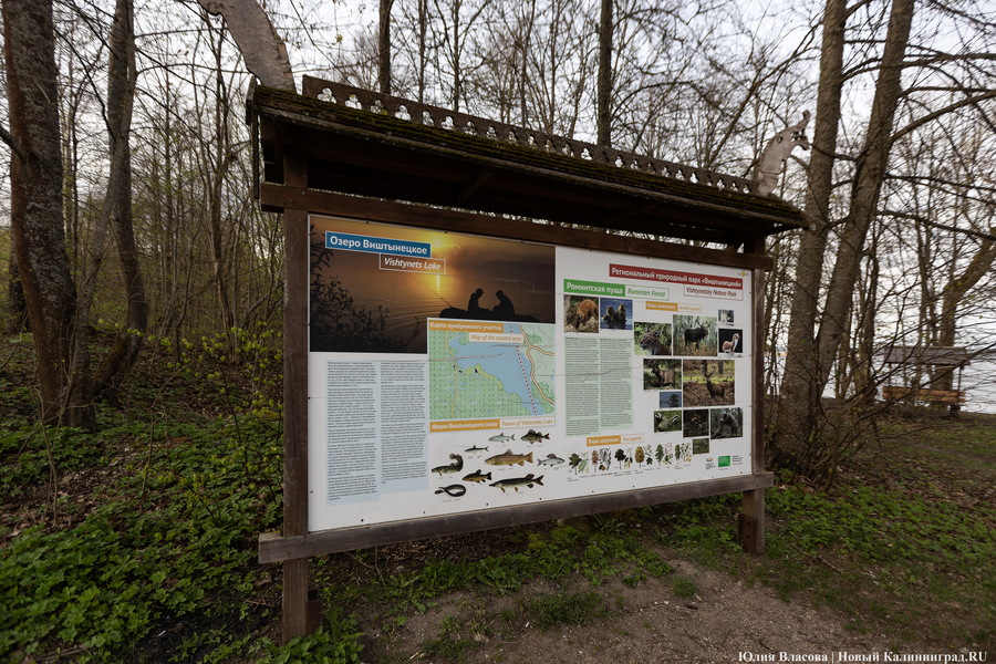 В минприроды сообщили об увольнении директора природного парка «Виштынецкий»