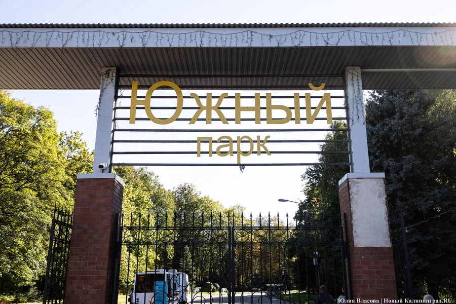 Вход свободный: в Калининграде в субботу пройдет фестиваль хоровой музыки