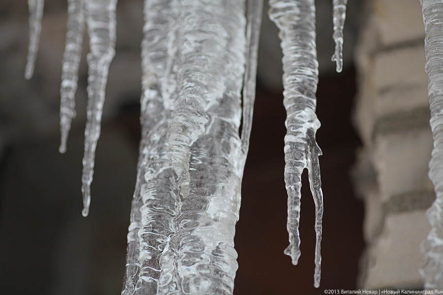 Синоптики прогнозируют похолодание в Калининграде к концу рабочей недели
