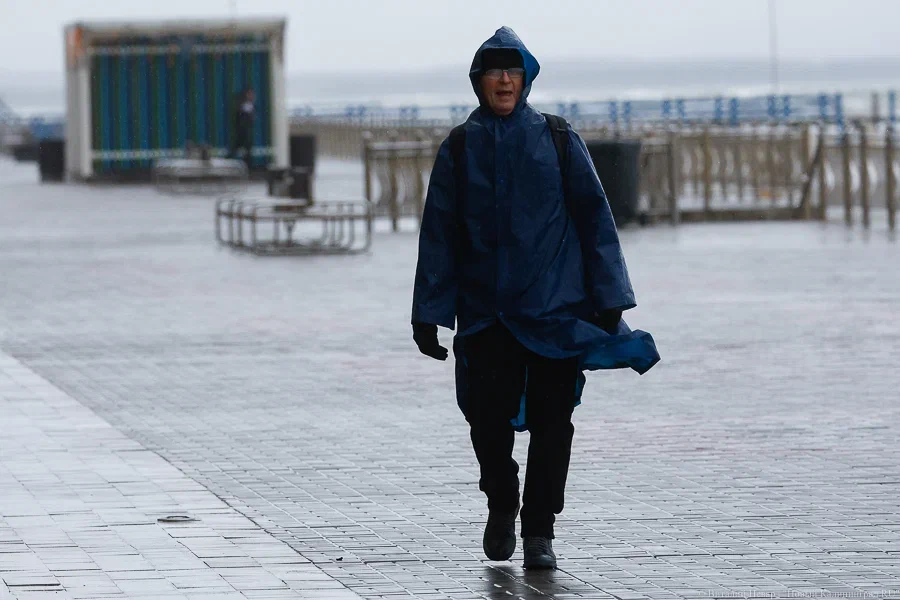 Одеваться придётся по-осеннему: прогноз погоды в Калининграде на выходные