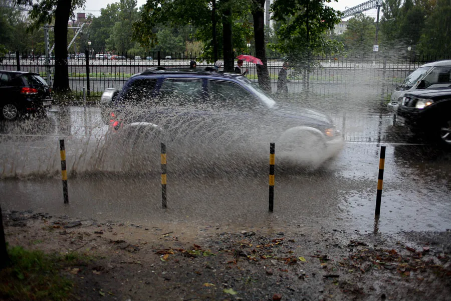 Погода в Калининградской области 24 июля