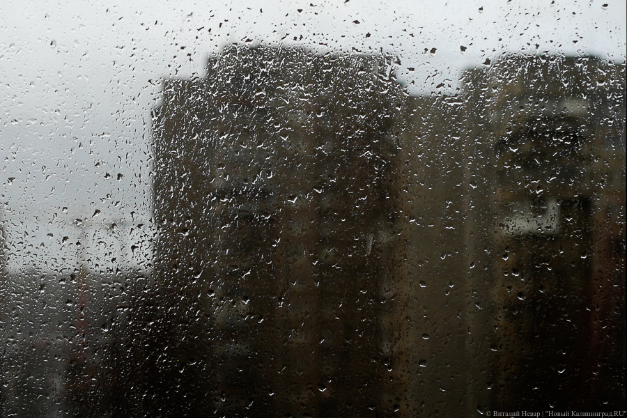 Погода в Калининграде 3 июля