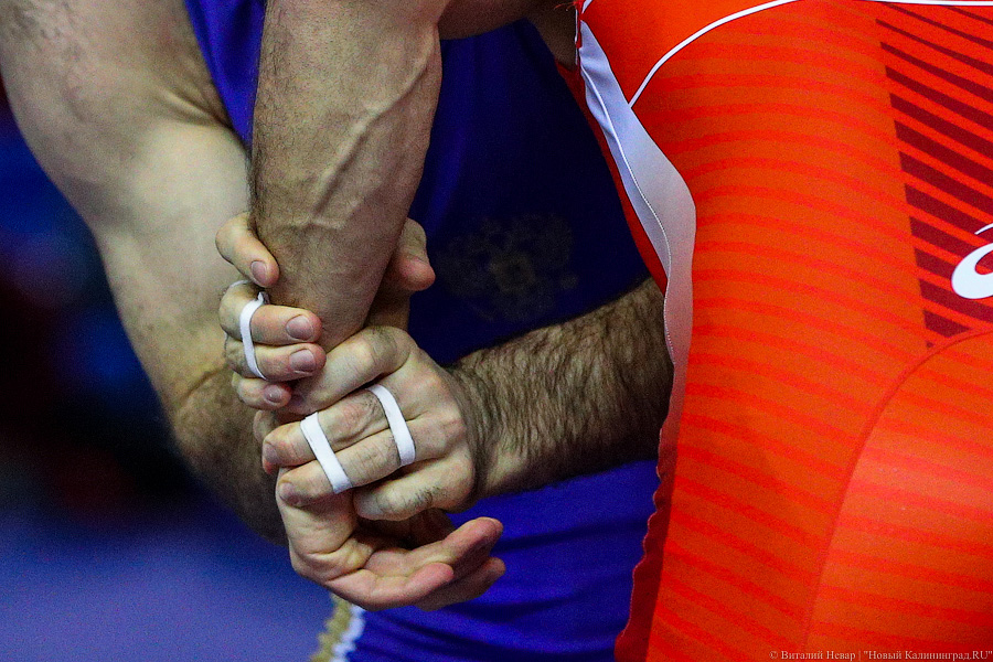 Просто мощь: чемпионат России по греко-римской борьбе идет в Калининграде (фото)
