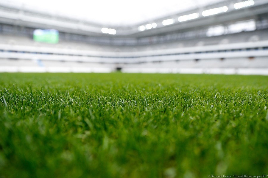  ФИФА намерена в марте проинспектировать калининградский стадион