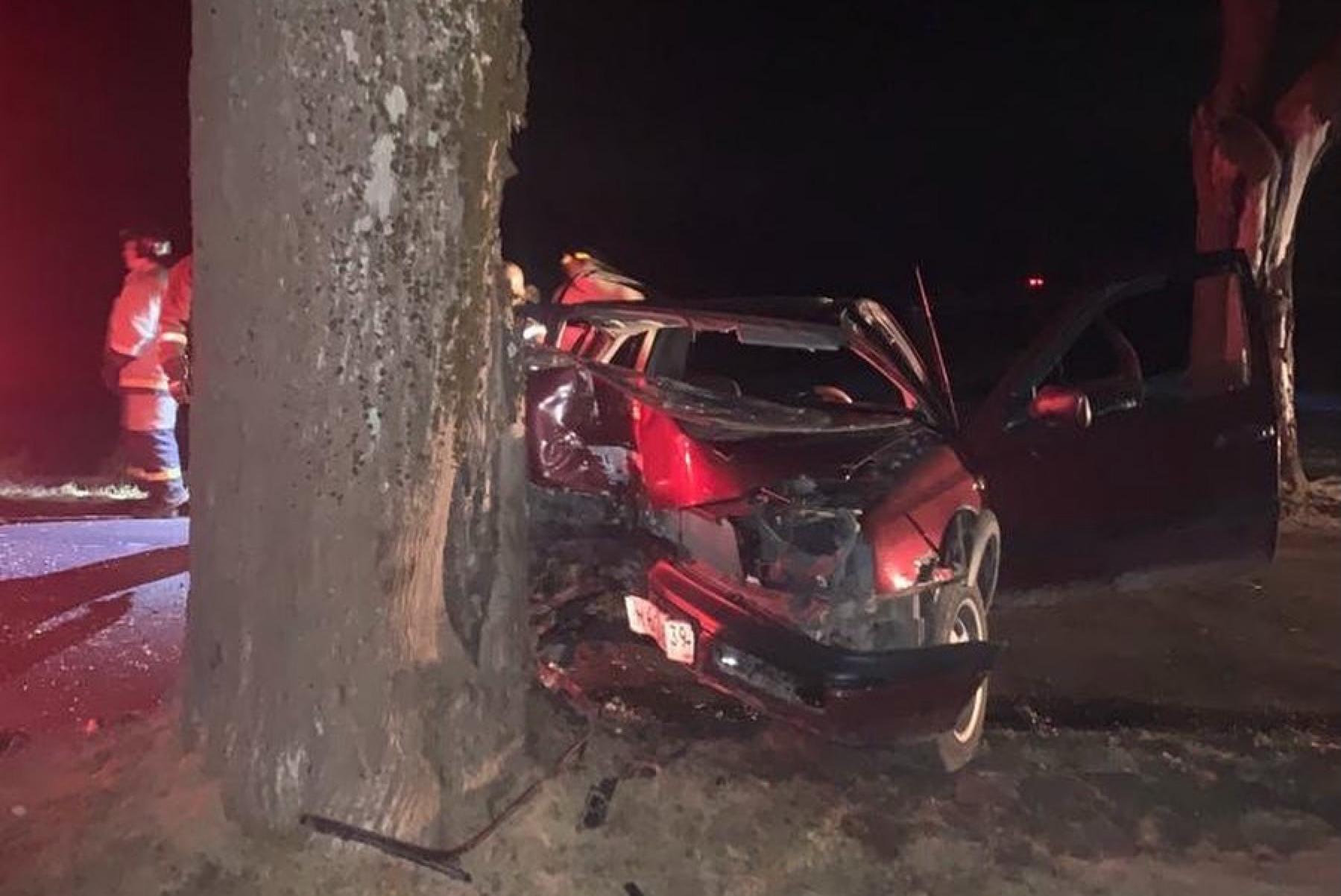 В Зеленоградском округе «Фольксваген» врезался в дерево. Водитель в больнице (фото)