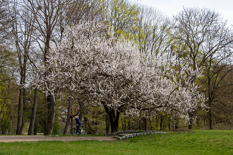 Синоптики рассказали, есть ли шансы на тепло в Калининграде в начале мая