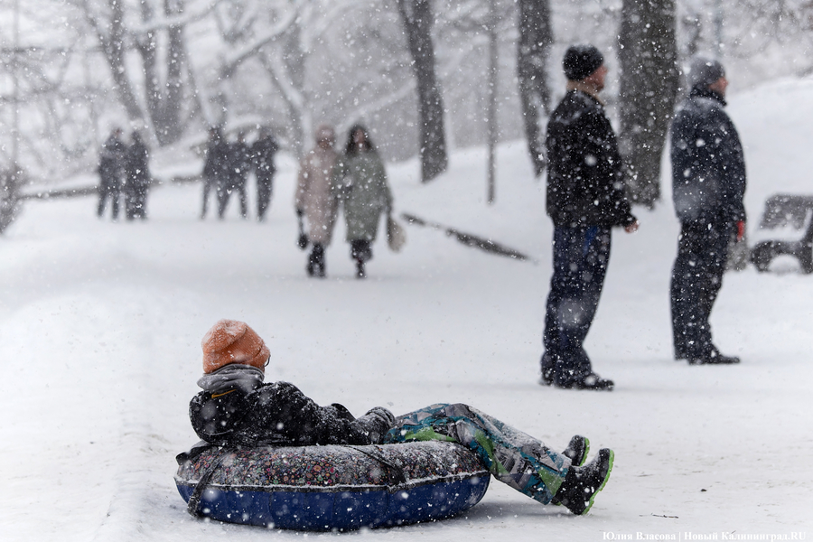 В мэрии Калининграда рассказали о пределе возможностей превентивной обработки дорог