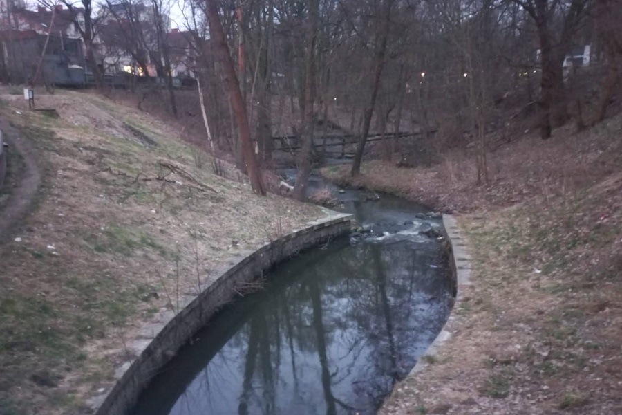 Прокуратура: выпуски сточных вод в Парковый ручей оборудуют очистными сооружениями
