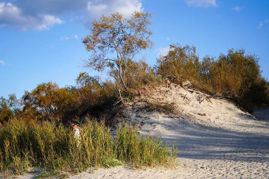 Нацпарк «Куршская коса» анонсировал природоохранную акцию «Марш парков»