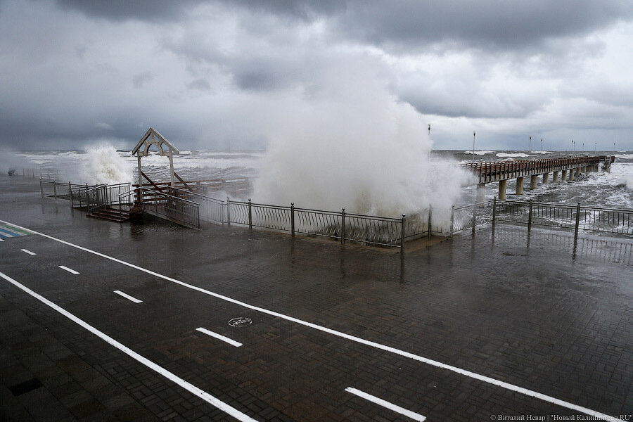 Калининградцам в четверг обещают усиление ветра