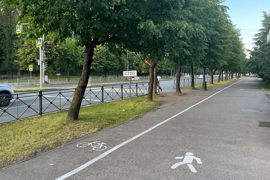 На Моспроспекте на тротуарах нанесли разметку велодорожки (фото)