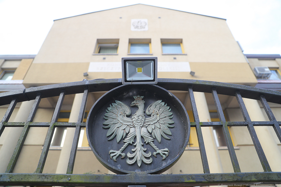 Власти Польши объявили об отправке в Украину 37 фур с гумпомощью и оружием