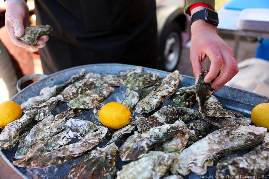 Шпротов и зрелищ: как провести последние летние выходные в Калининграде