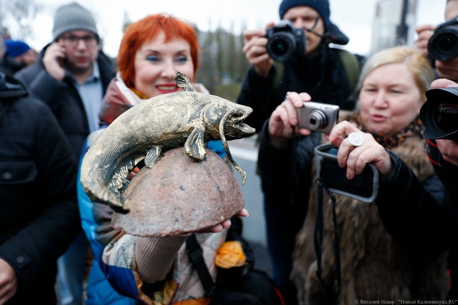 Под Высоким мостом планируют поставить памятник сому, которого никто не видел (фото)