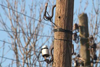 Путин решил на год заморозить тарифы на электроэнергию