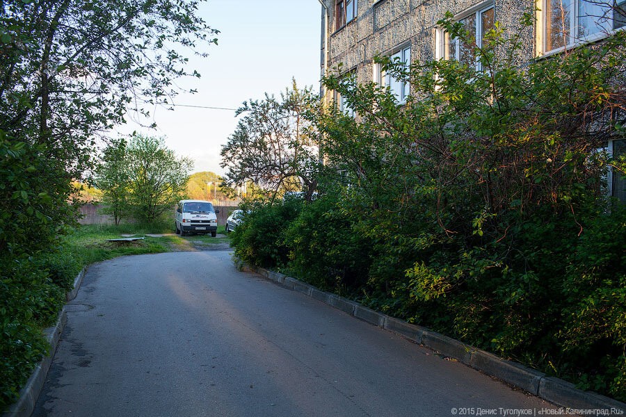 В Калининградской области намерены запретить парковаться на газонах