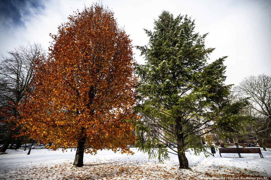 Синоптики рассказали, когда начнутся похолодание и первые «зимние намеки»