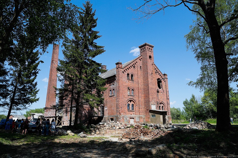 Школа разведчика и поиск валунов: на что потратят 33 млн рублей президентских грантов