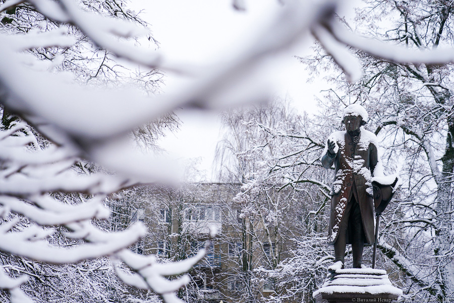В Калининградской области прогнозируют морозные выходные