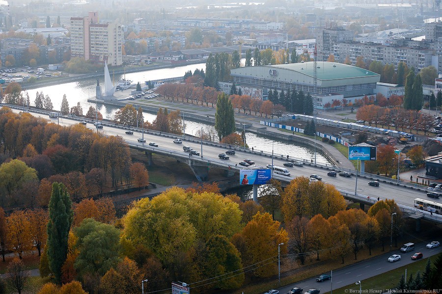 В 2017 году в ГИБДД поступило 82 сообщения о пьяных водителях
