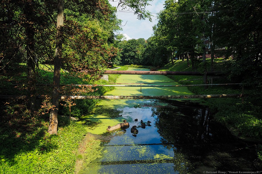 Власти недовольны разработанной московской компанией концепцией развития зоны у Литовского ручья