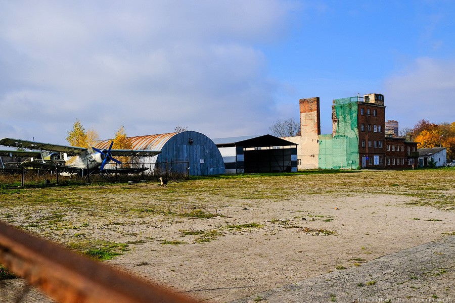 Дятлова: на территории аэродрома «Девау» планируется открыть «современный Дом пионеров»