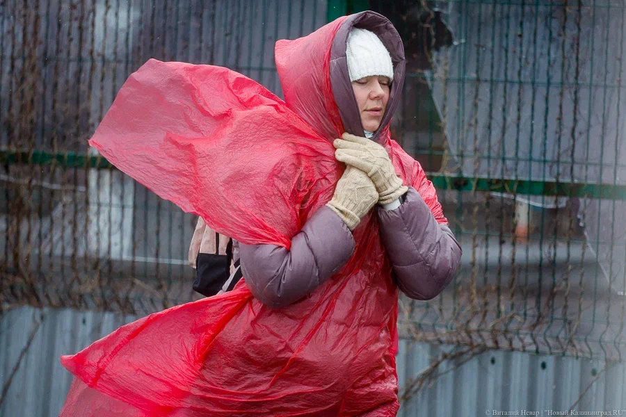 МЧС: в Калининградской области ожидается усиление ветра