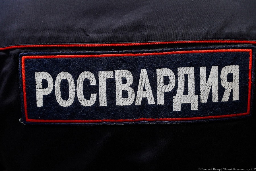 В Багратионовске четверо мужчин избили росгвардейцев и пытались отобрать оружие (видео)