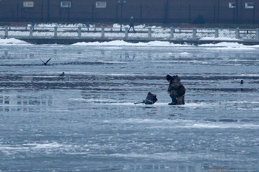 На Куршском заливе оторвало льдину с 4 рыбаками