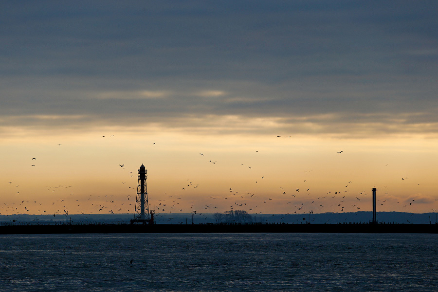 Синоптики прогнозируют с понедельника в Калининградской области похолодание