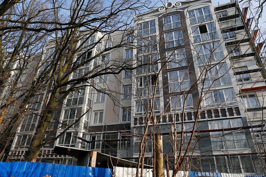 «Грюнштадт» против грабов: как застройщики побеждают деревья