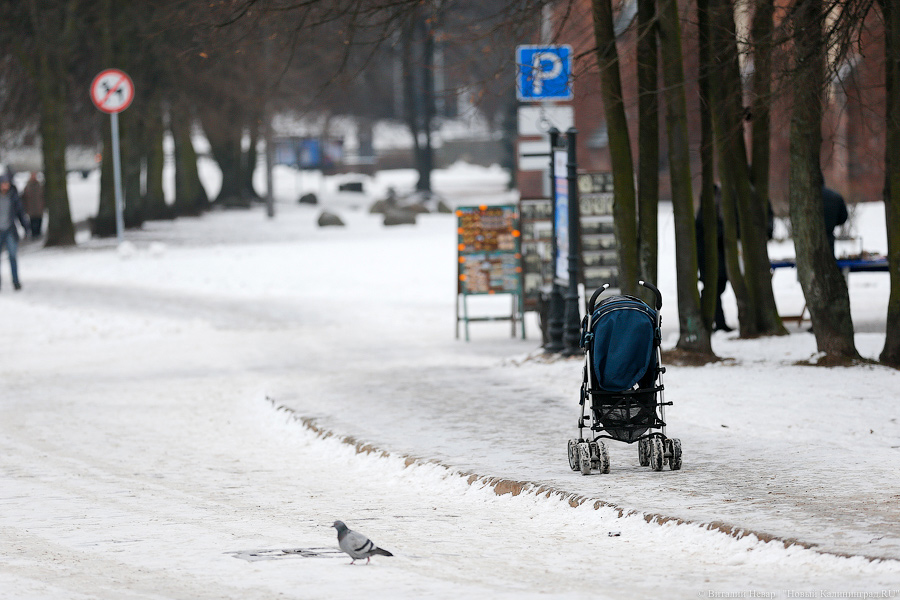 Власти Калининграда извинились за утренний «каток»