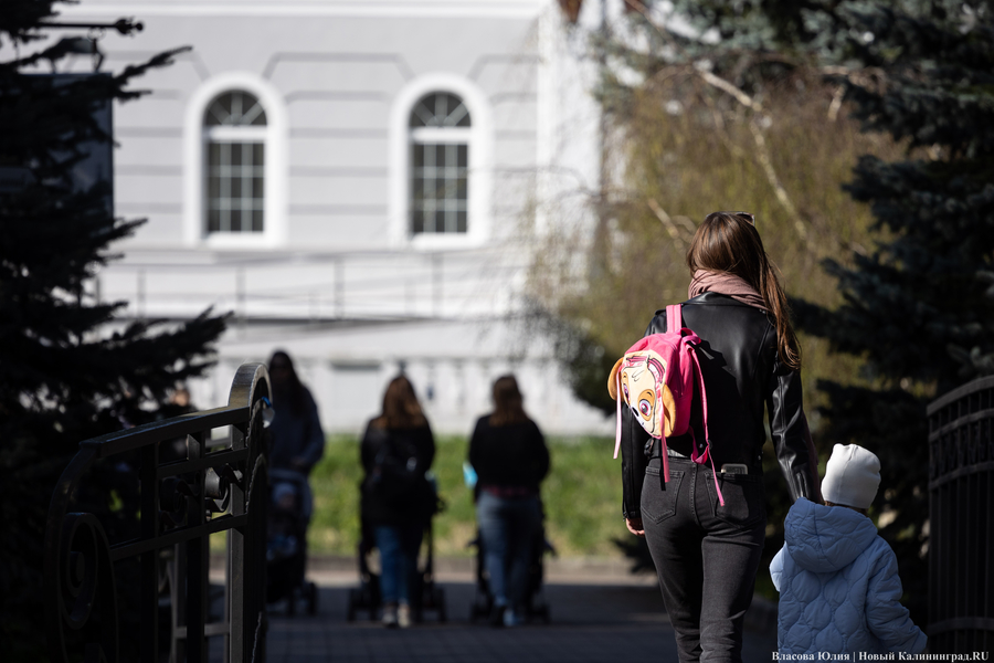 ВЦИОМ: треть молодёжи считает, что не нужно держаться за семейные ценности