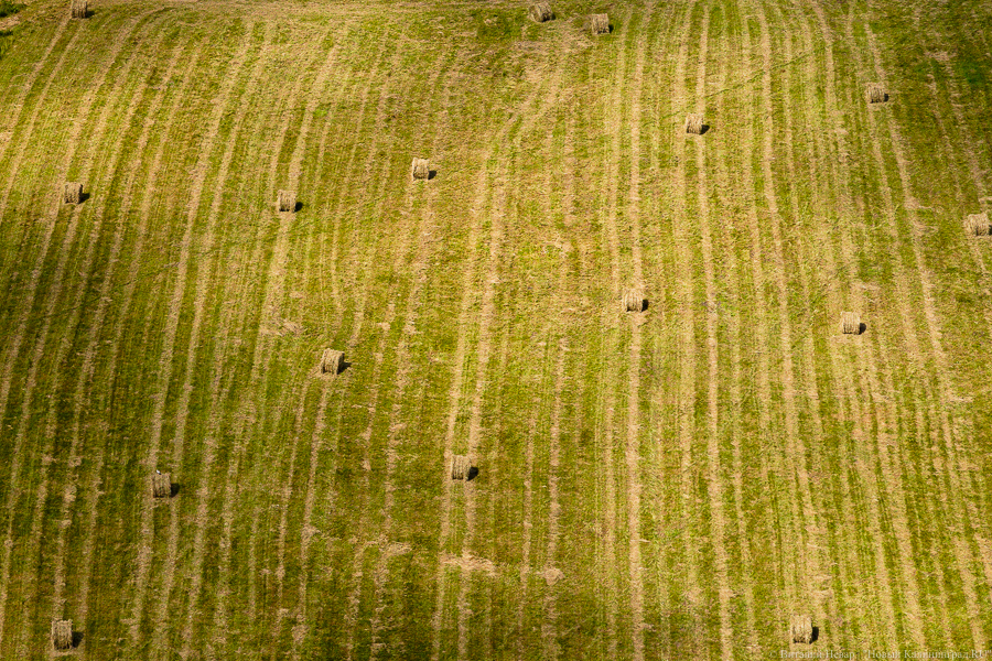 В Багратионовском районе обнаружено превышение бензпирена в почве