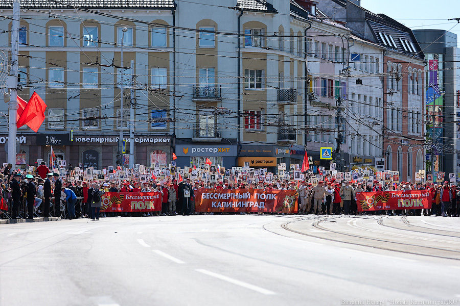 В России решили 9 мая не проводить шествие «Бессмертного полка»