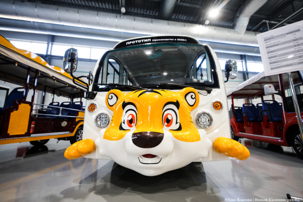 Конкурент самокатам: «Автотор» запустил кластер по производству электромобилей