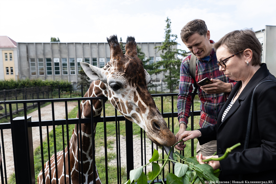 Непарадный зоопарк: какие «красные зоны» будут ремонтировать в первую очередь (фото) 
