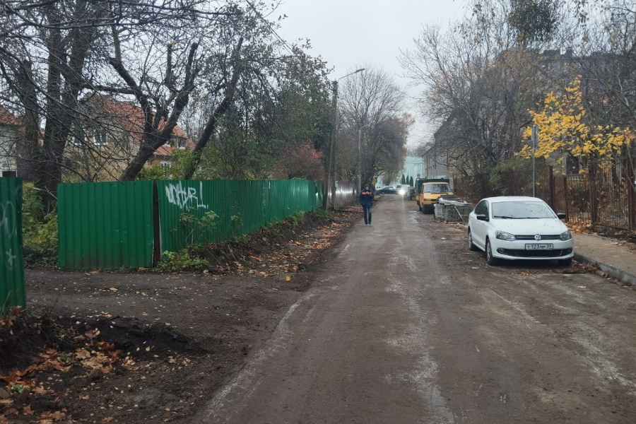 Дятлова — о «страшных» заборах в Калининграде: «Мы нормы приняли слишком поздно» (фото)