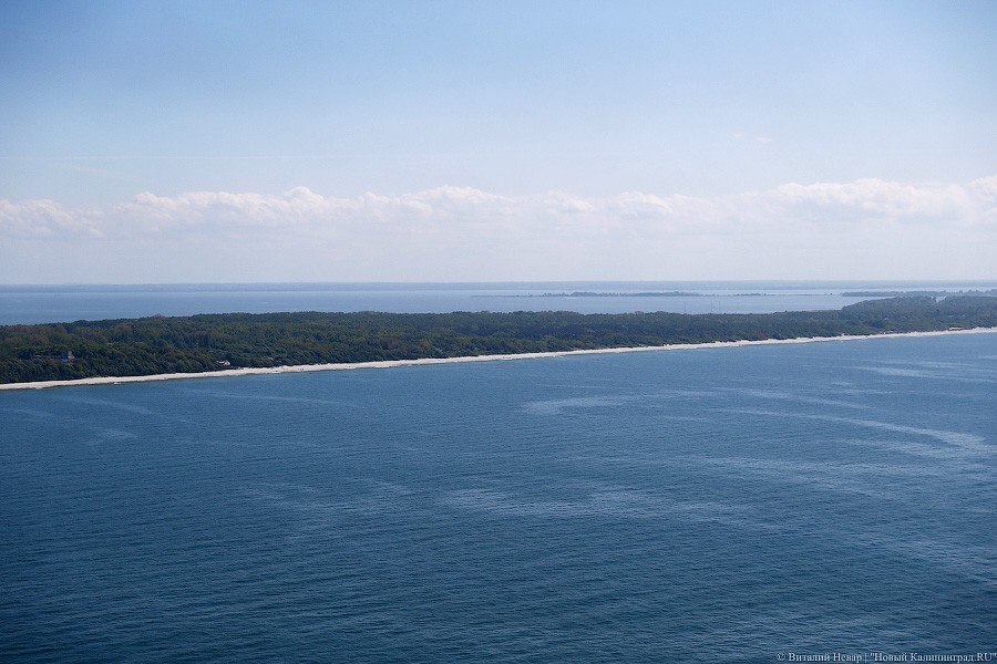 На фестивале «зелёного» кино расскажут, как пандемия повлияла на природу Куршской косы