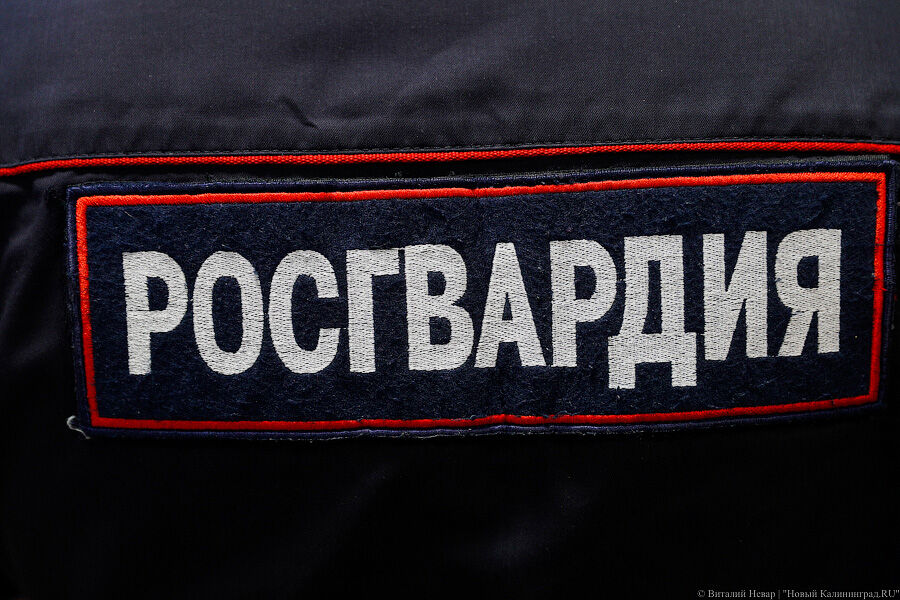 Операция «Нелегал»: в Калининграде росгвардейцы выявили более 130 мигрантов-нарушителей