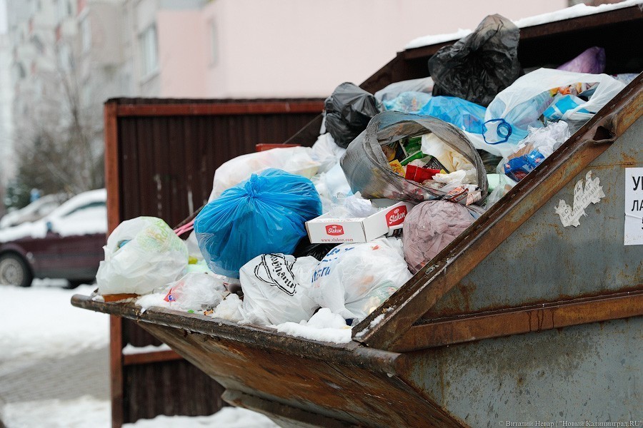 УФАС: областному мусорному оператору грозит штраф в 7-8 млн руб.