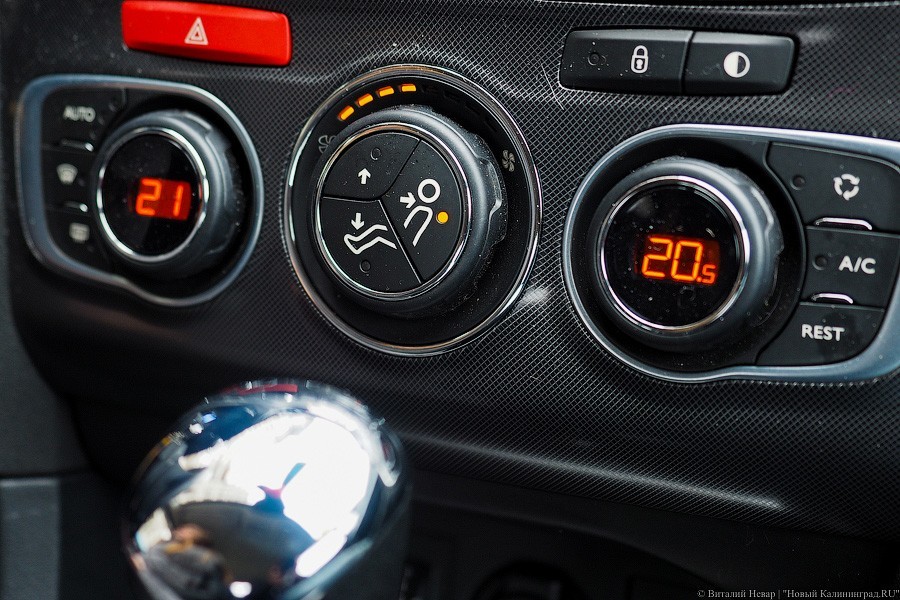 Полиция Берлина задержала неисправный автобус с детьми из России