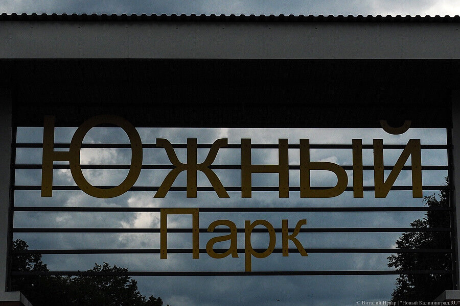 Власти ищут подрядчика для устройства парковки в Южном парке за 116 млн